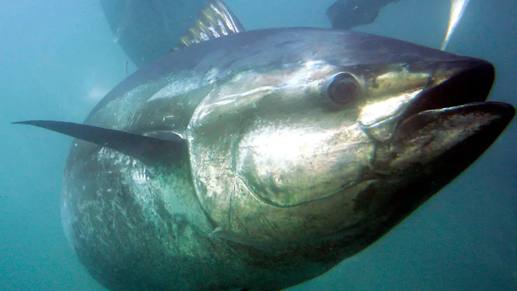 800368df57c421733d04984d87880703