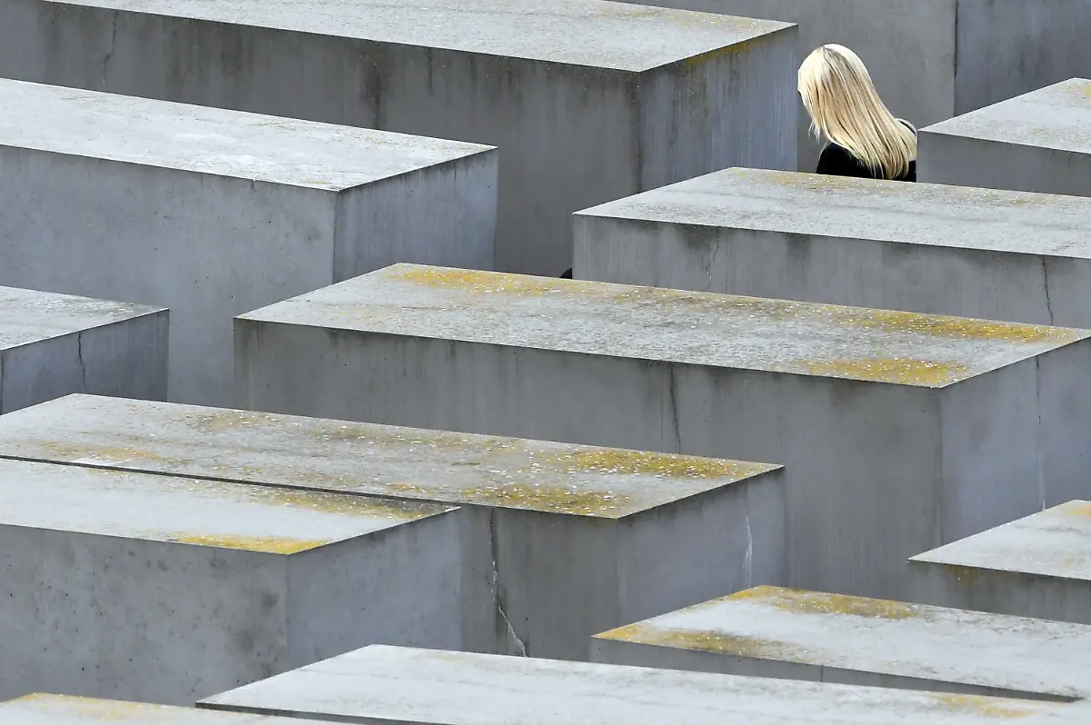 c586166fb709f9c4542cee335cab138c