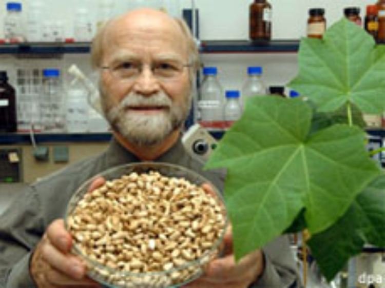 Prof. Klaus Becker mit einer Schale Jatropha-Nüssen