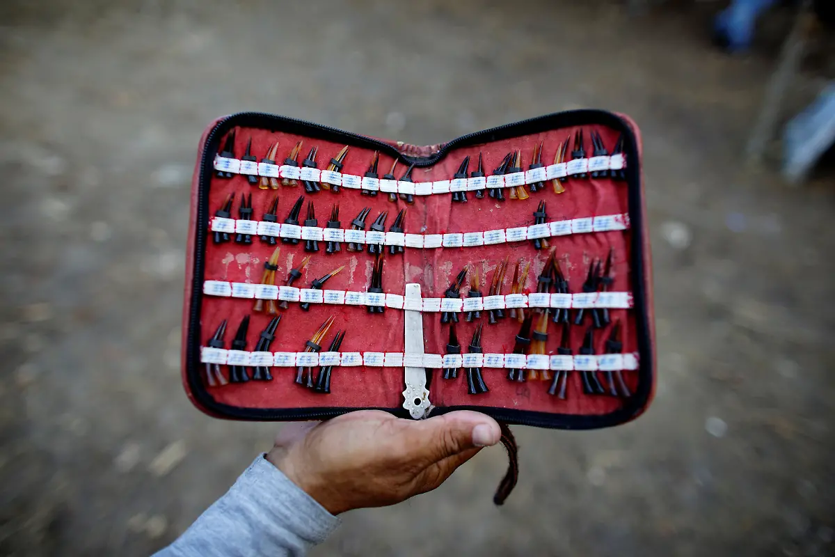 34022d9774c2d79b3440e814a3912006