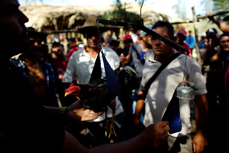 b4b599141e994608e10e48701df6240b