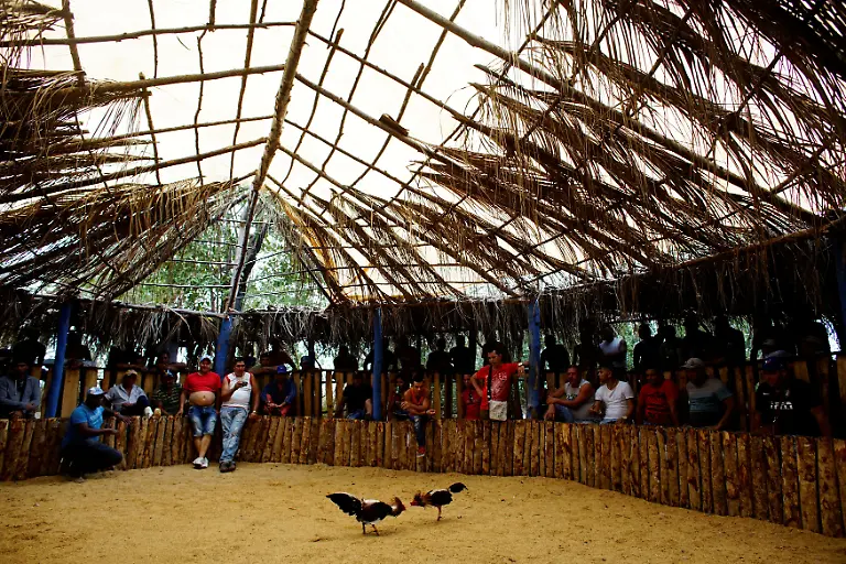 dfe9a24f35315f5c51bbe3e6b951b82e