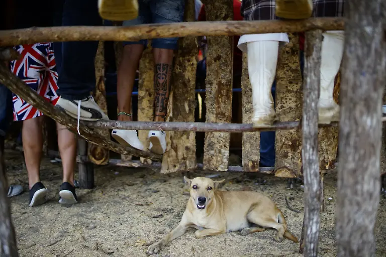 8cef09a5ae48eef0daa593064732c8a2