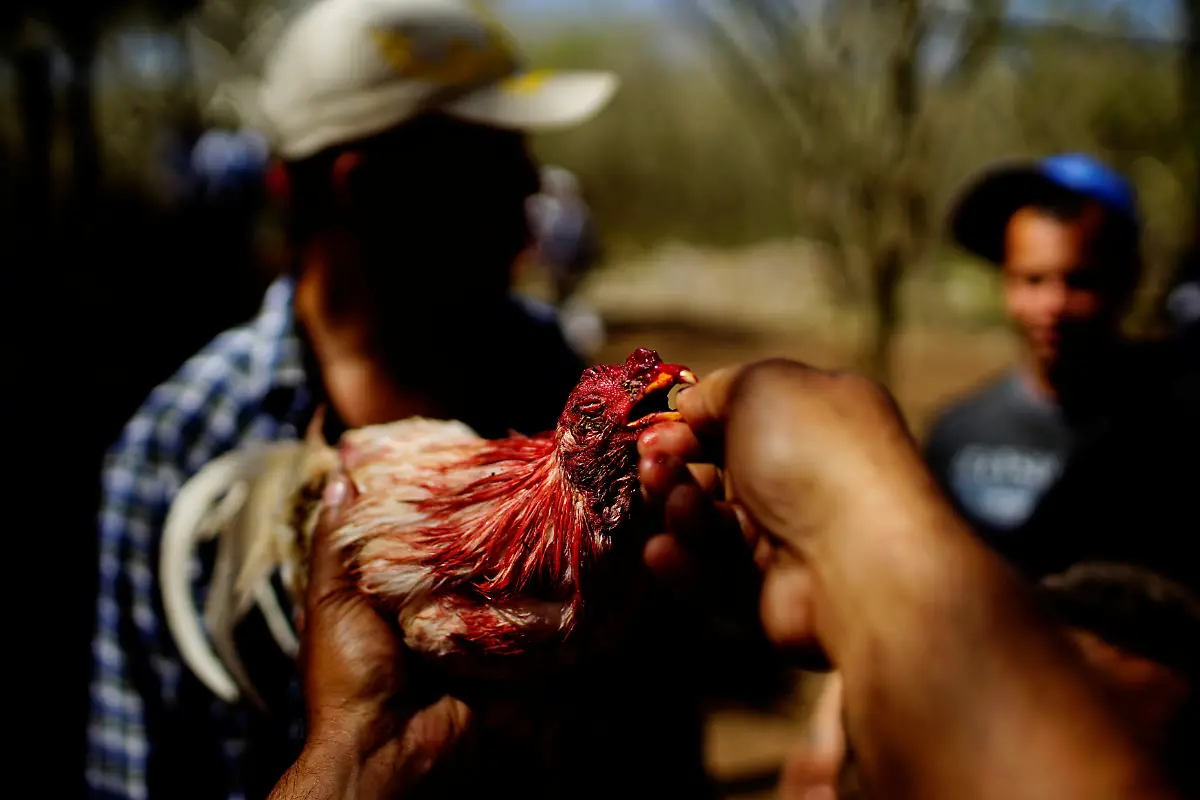 7673c8de316e0c8ef92de81658926444