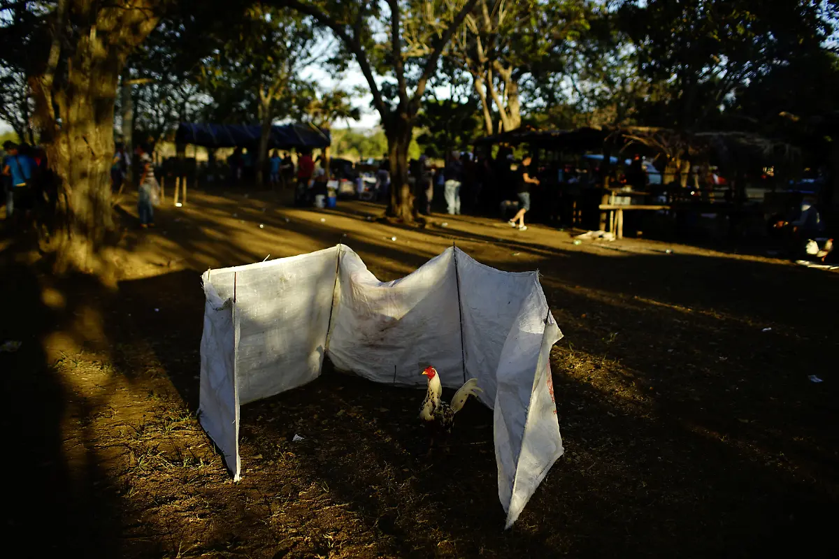 2e93279794997af98d8fad680585a8f9