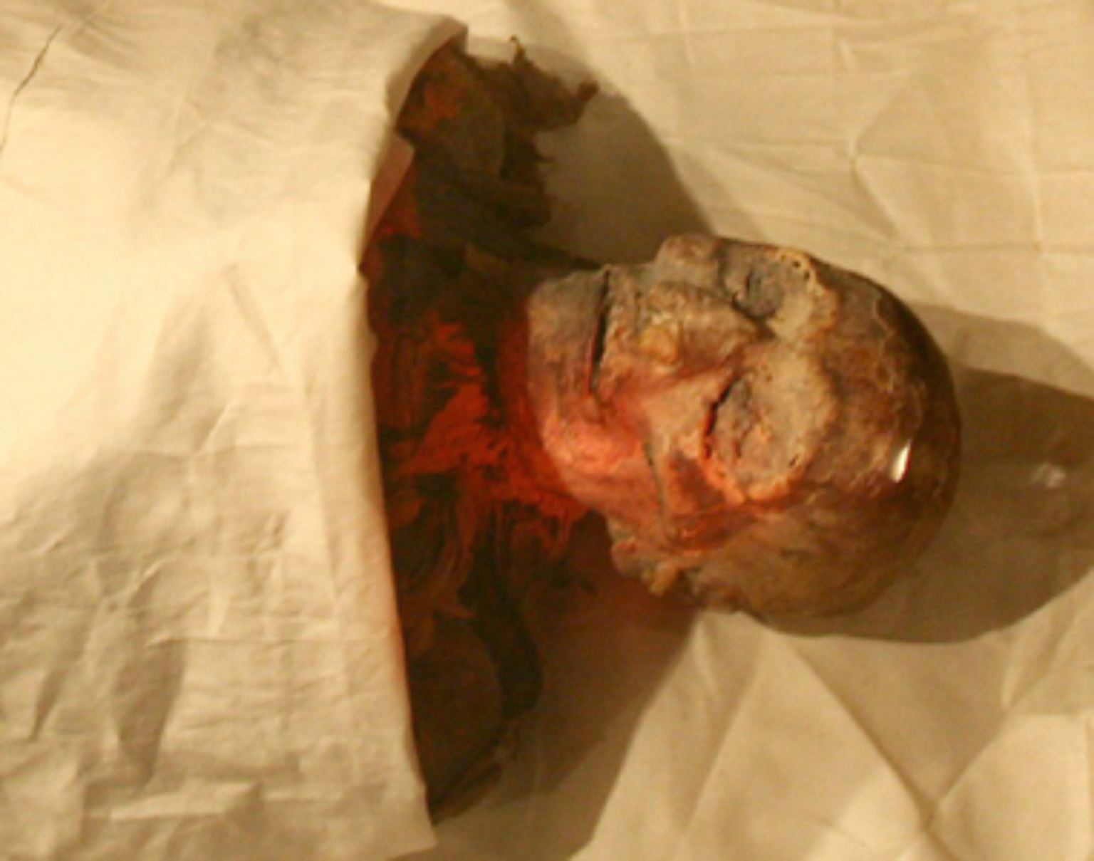 Im Juni 2007 kam die Erfolgsmeldung: Ägyptische Archäologen schafften es, eine Mumie als die Herrscherin Hatschepsut zu identifizieren.