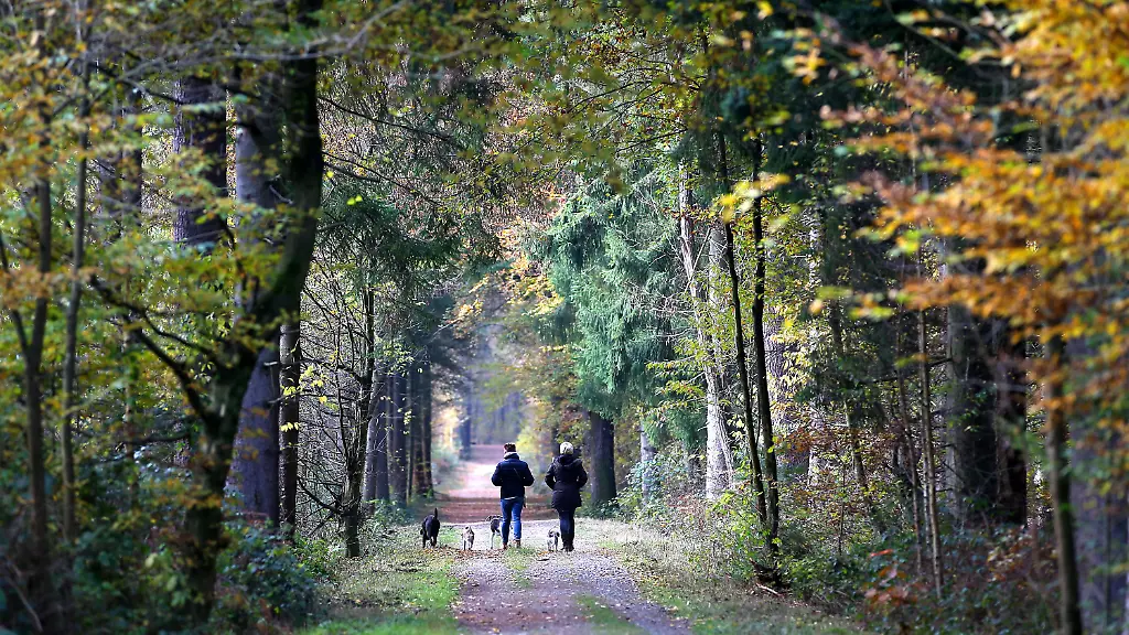 5a87fcc5dc91d749f71c516f3fd55b25