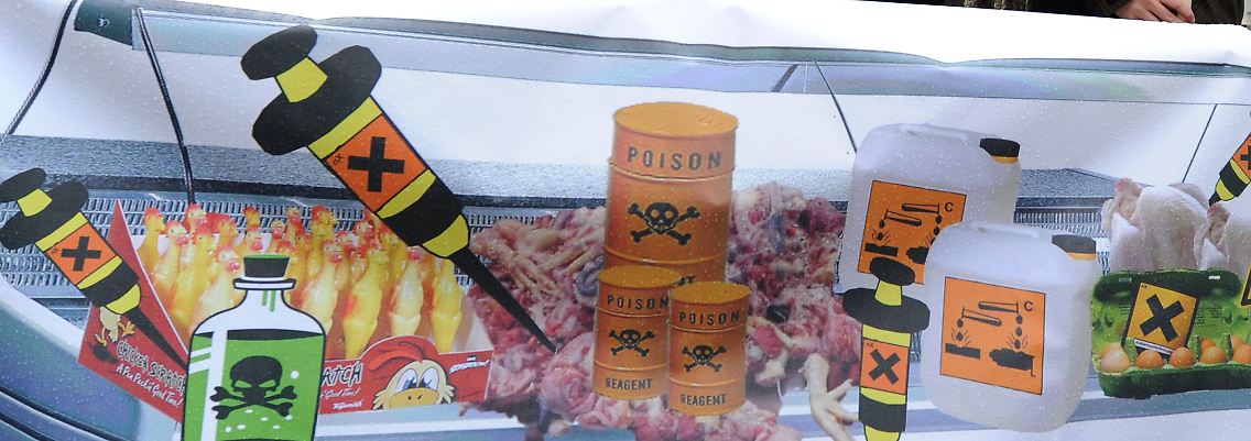 Protest der niedersächsischen Grünen: Antibiotika, Dioxin, Maschinenfett und Blutplasma haben in den Futtertrögen und auf den Tellern der Verbraucher nichts zu suchen.