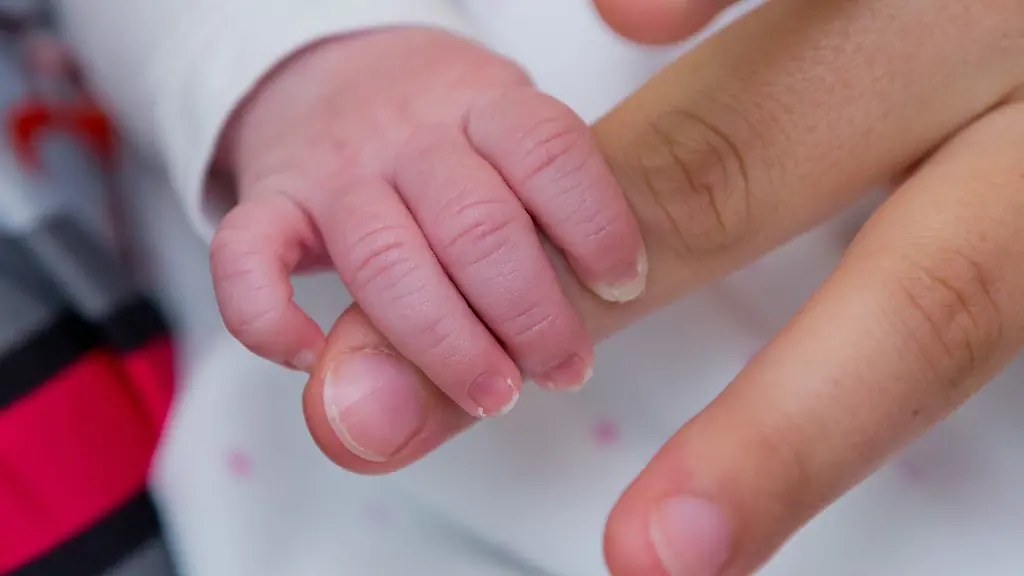 c203acd6fb5ef0abb3ee55de481d190c