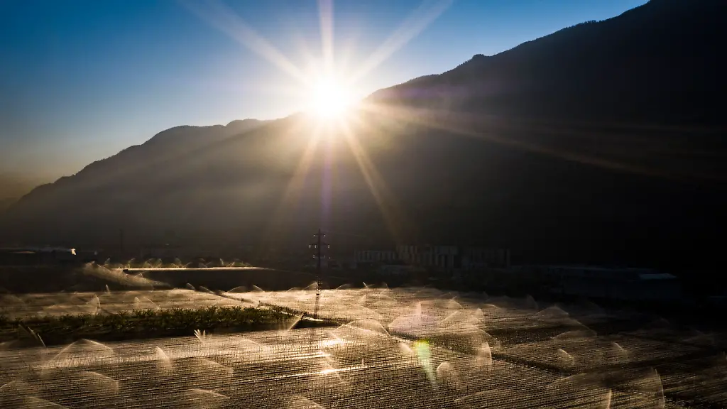 aed95bf3cc1857d5778c8c5d2c32ee3b