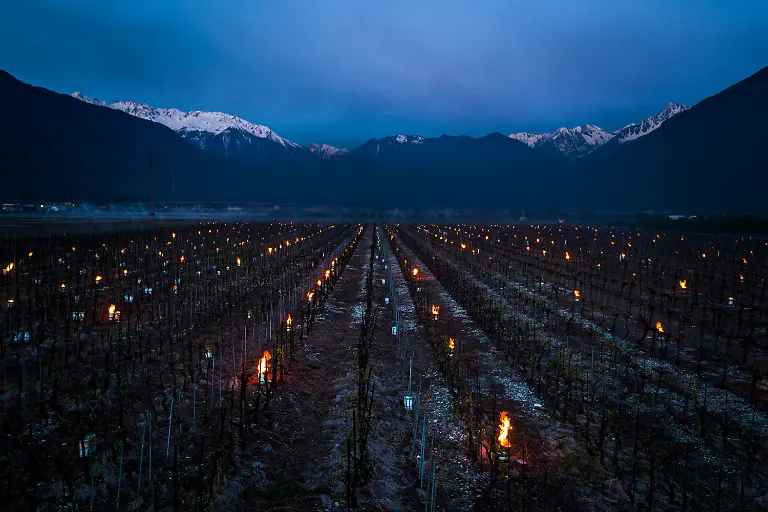 57b9e8d6eb9981e8027f80a42baa9330