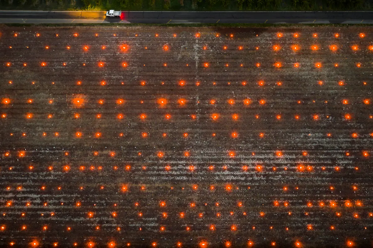 046002b7a3a31b770a3c2408aee6402d