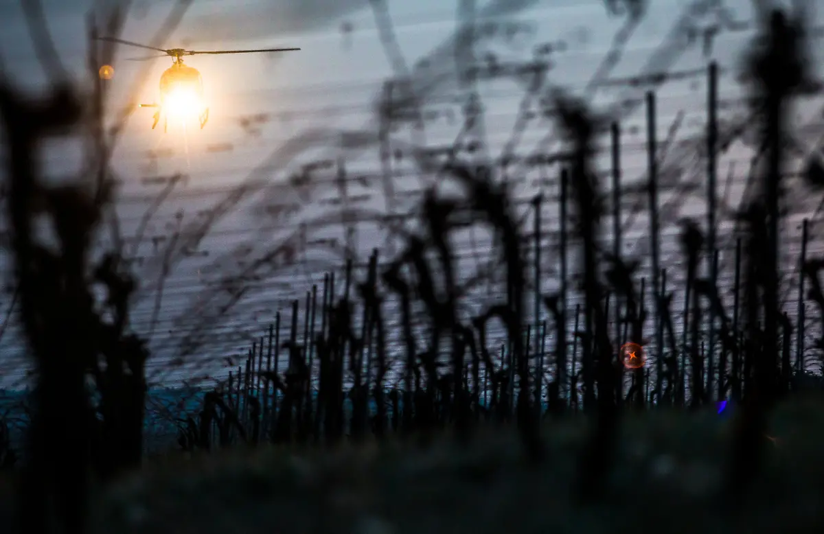 ebfd3078e8b97178d18332f6e8284998