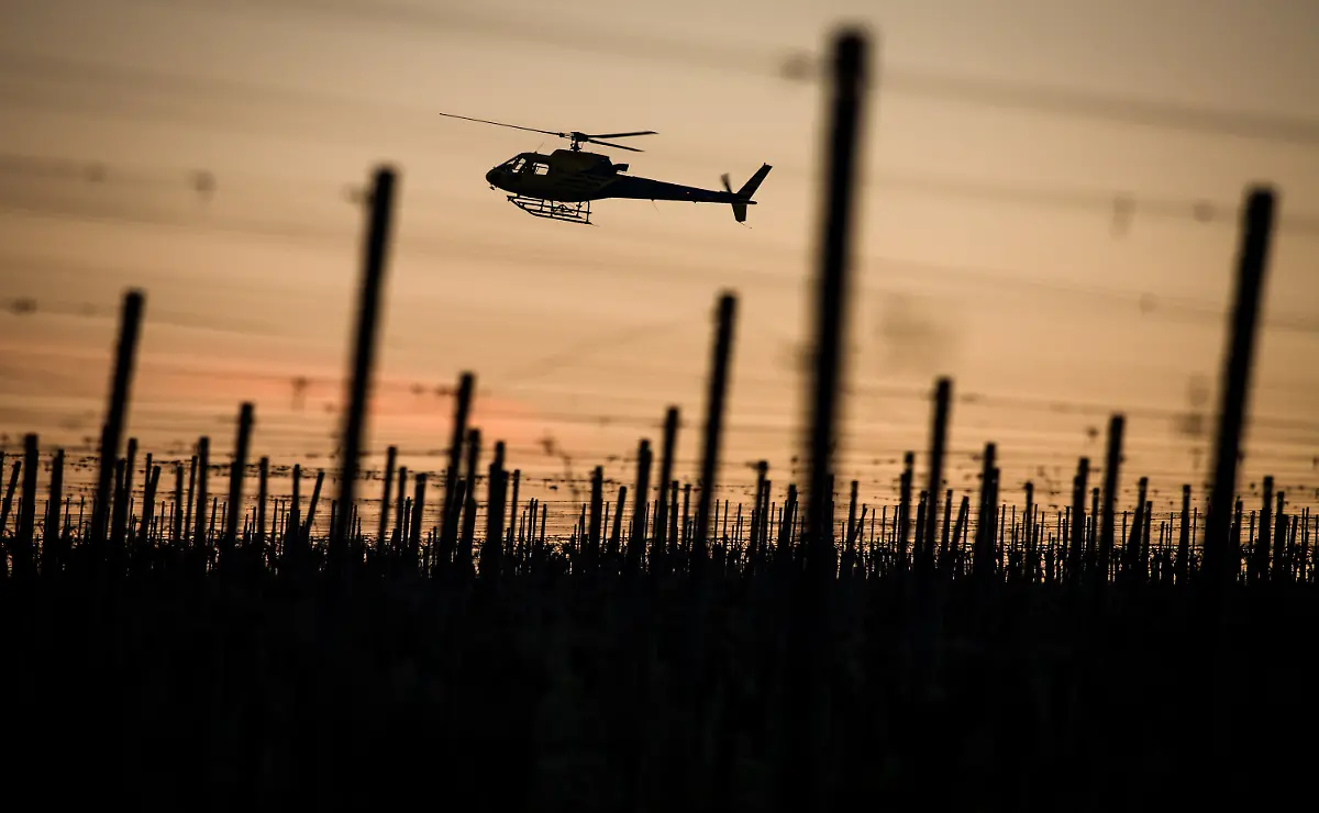 22eaeb1775fb06e8c4d5302bbf5dff67