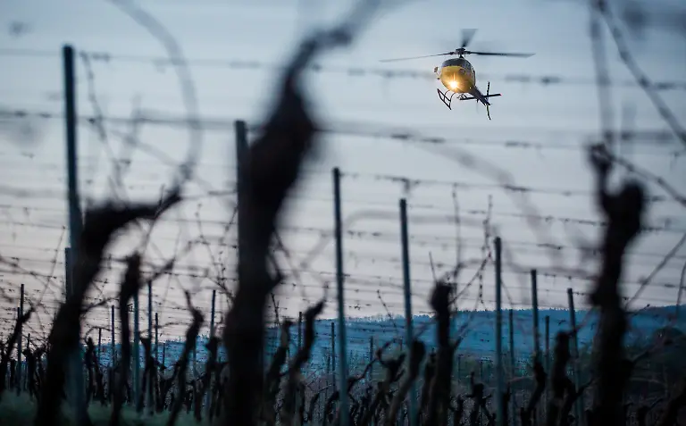 905f2436680699df5723030bb5b466a6