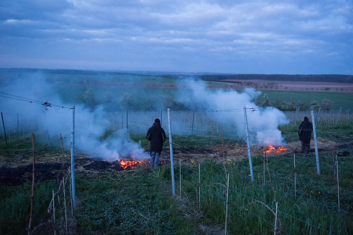 a376e00ca4fcab61cfc60dd652fe1e5b