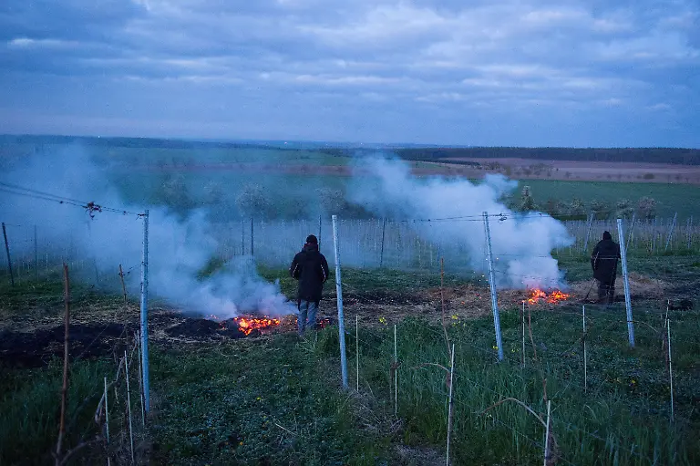 a376e00ca4fcab61cfc60dd652fe1e5b