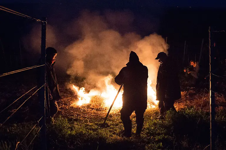 bab3bb1fbe3144fba2d8f0a7ce3dfa16