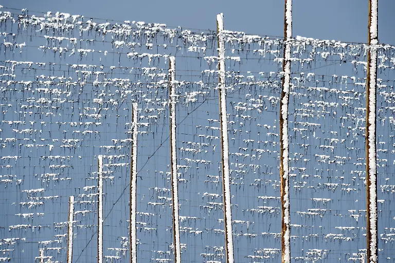 3982304c5262e9d8f5a4e0602a078e88