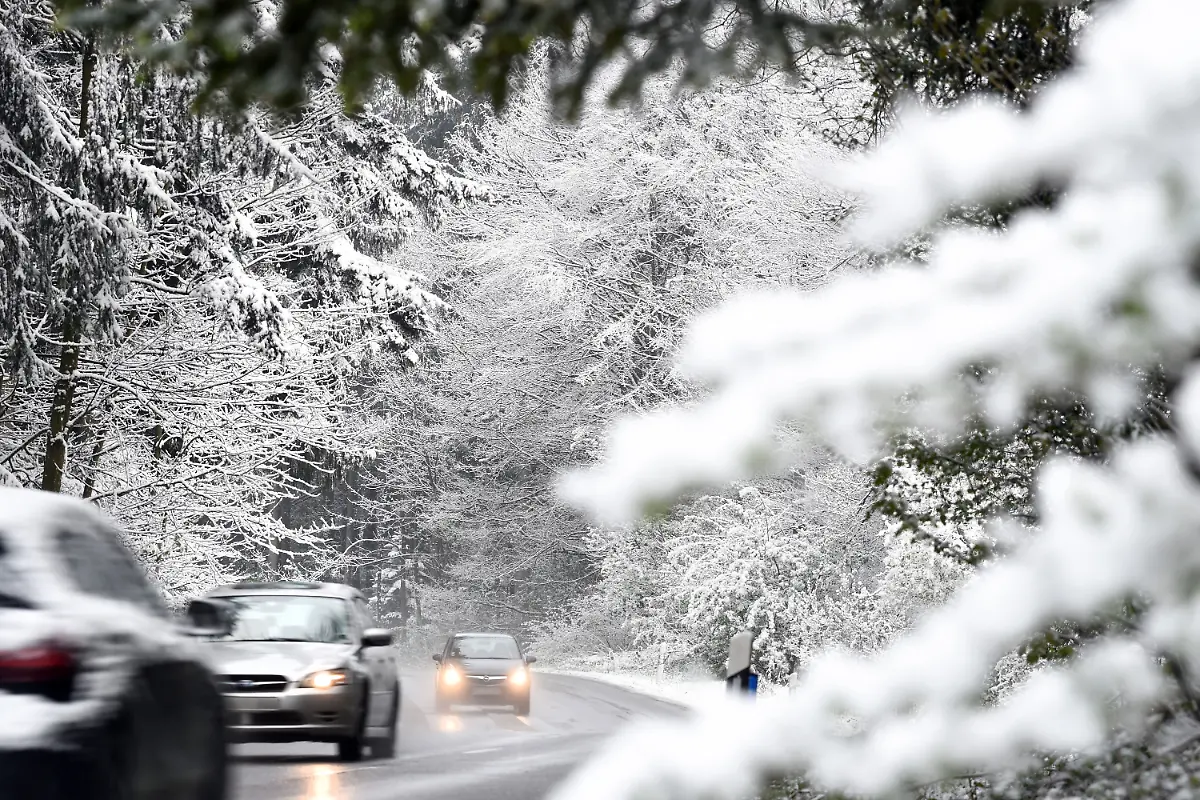 da0a8bf6785f1804b4488d2545cf1f26