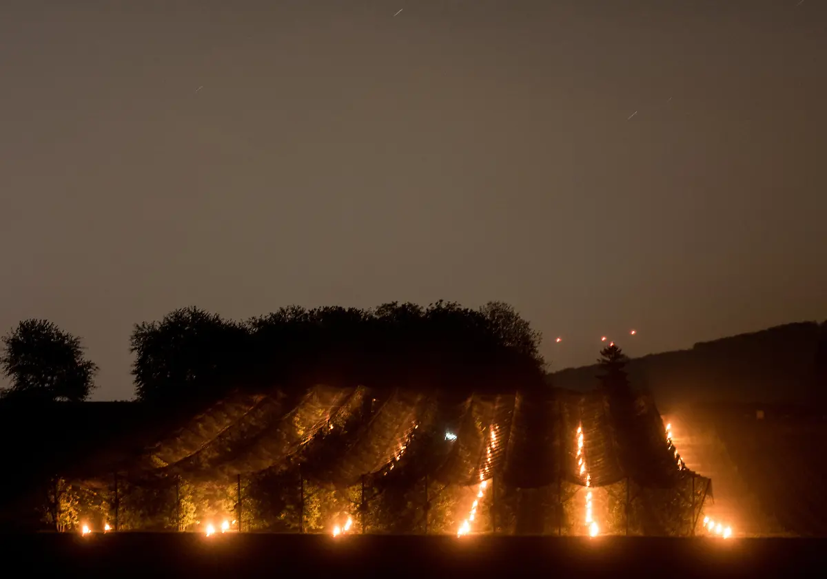 3a70cc3bf7de40b415d0594dc3d8c747