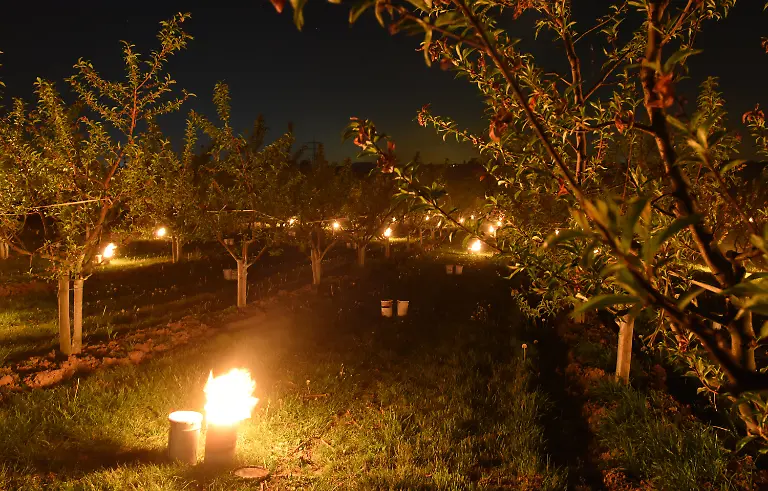 acea4354b1370f5eb1afa972a5ce0da6