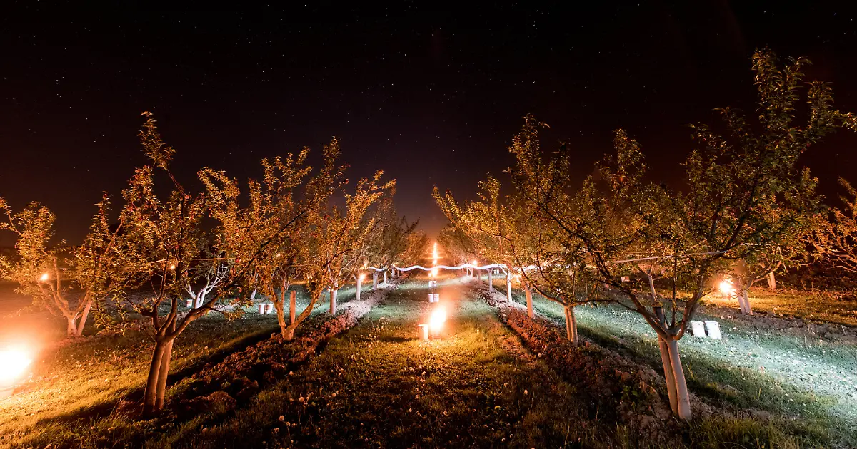 d673334d969d639d3a08bd45965f4869