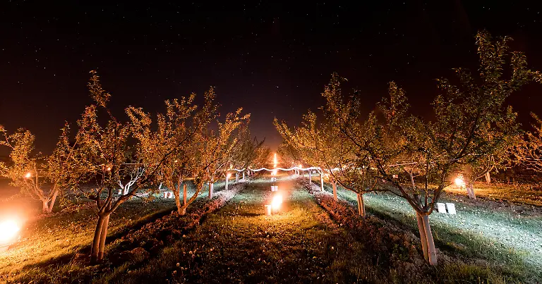 d673334d969d639d3a08bd45965f4869