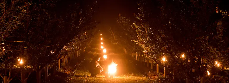 86ba4eb193f05048bada2de30f0863a1