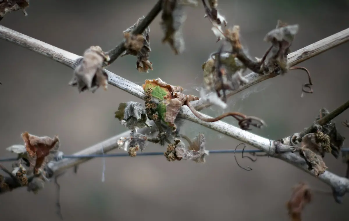 607490b5f62db34d880a0e81c2fccbc6