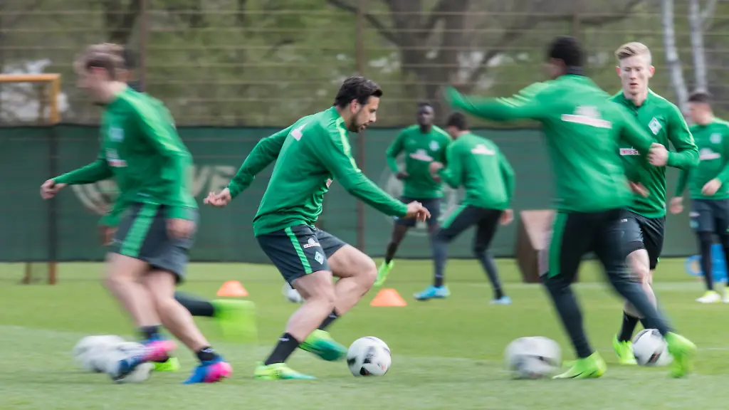 7bb5784afba0f61ad215829960fd315a