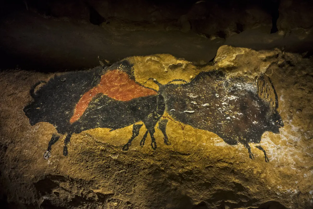 lascaux8