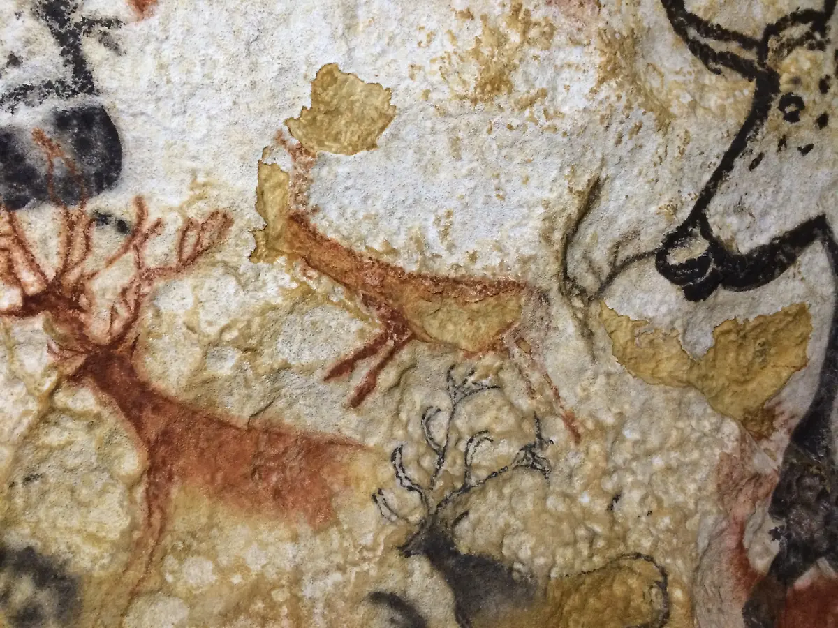 lascaux6