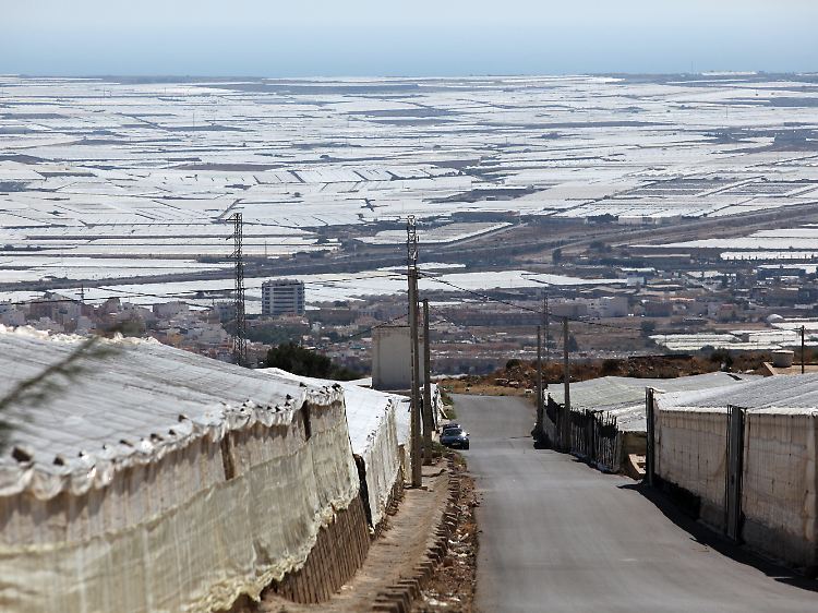 Das Plastikmeer der Gewächshäuser beim südspanischen El Ejido (Almería): Die Bauern werfen Deutschland vor, Landwirte in Spanien vorschnell mit dem EHEC-Erreger in Verbindung gebracht zu haben.