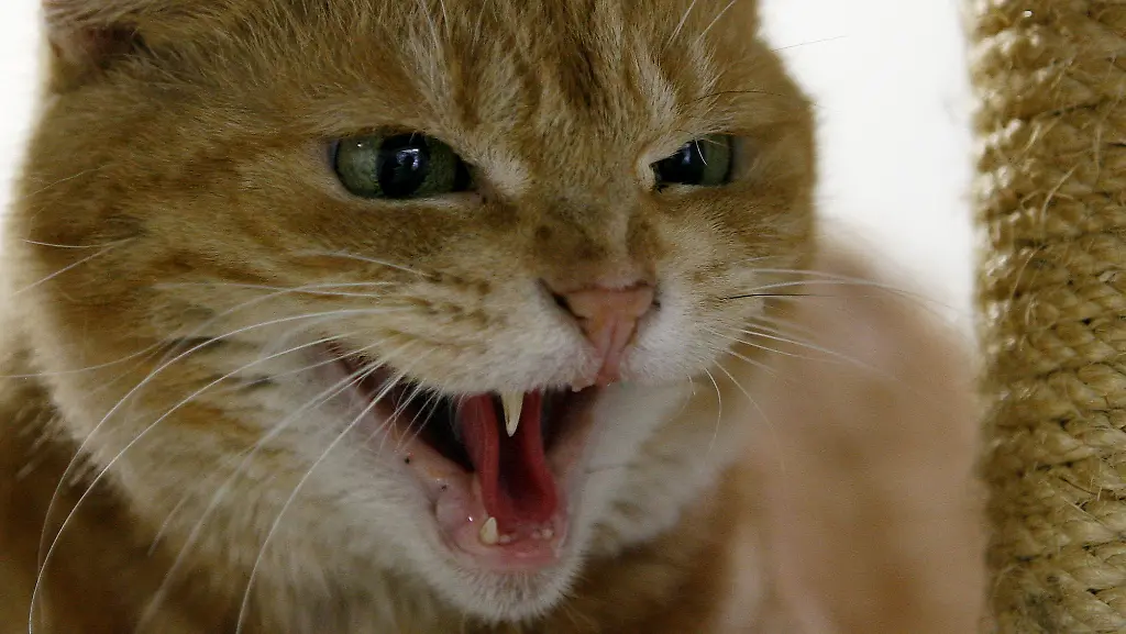 0e7d858f2e67f0f2c7f5c67b5603fc7f