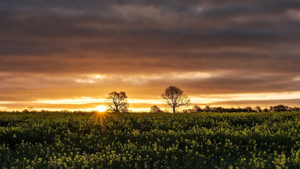 96f724aedb474381f9ef207d003b7023