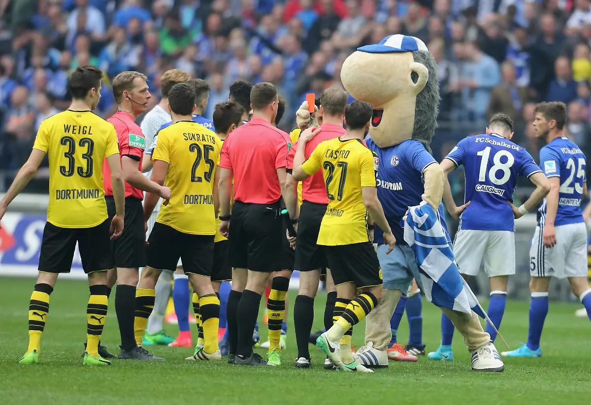 7a6f70b4d5af82f44dec3cbbb577bb8d