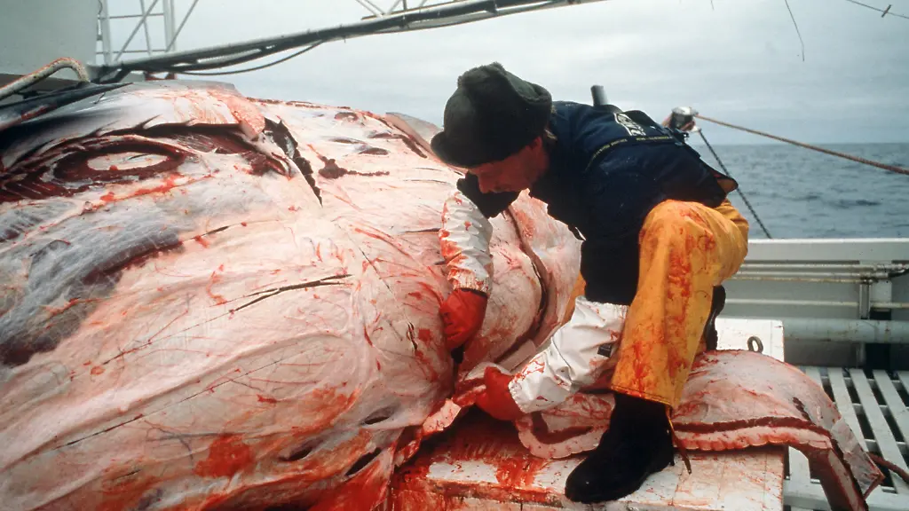 655149785f9c9bd61f99cdc59f8a4e82