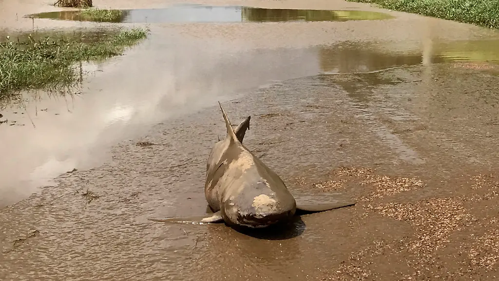 80362c760f43b216307e8f612d7ecb98