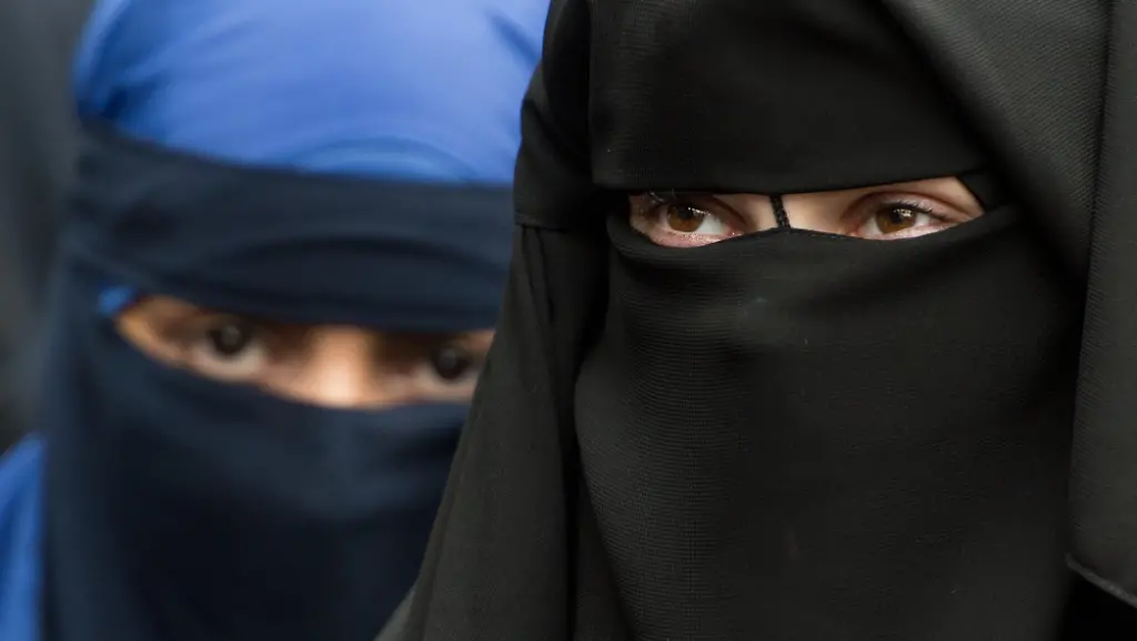 0077f7442331bae8140646ae22821440