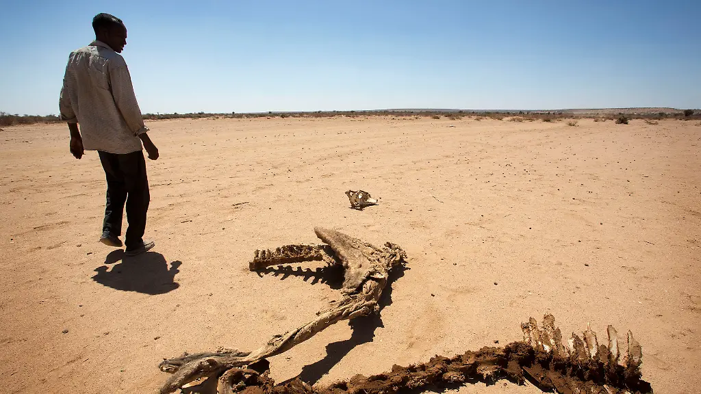 264409e8857d8d1e6a358ff1579ce649