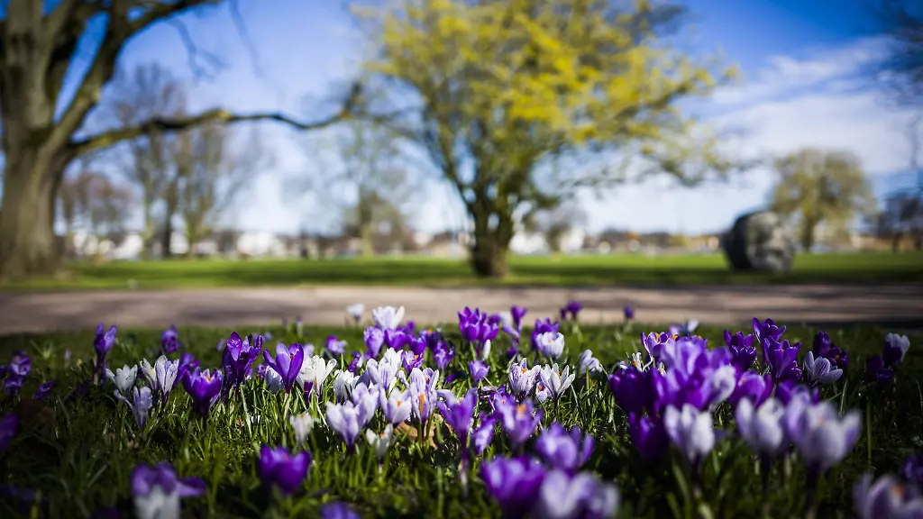 0ab36f883e0dbc202d02e8cd36f65888