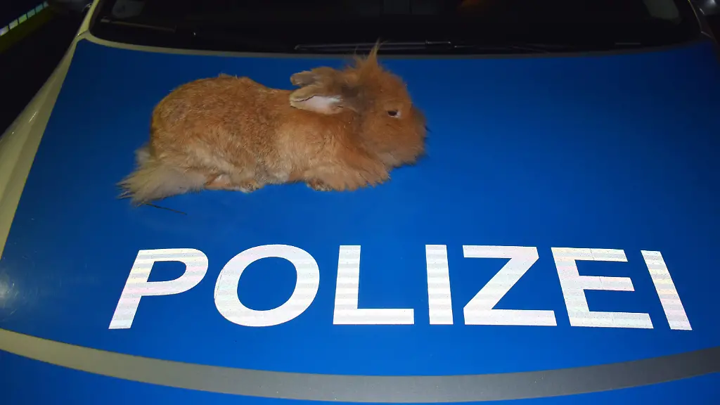 9d41653686a9ac81a8c0efceee279aff