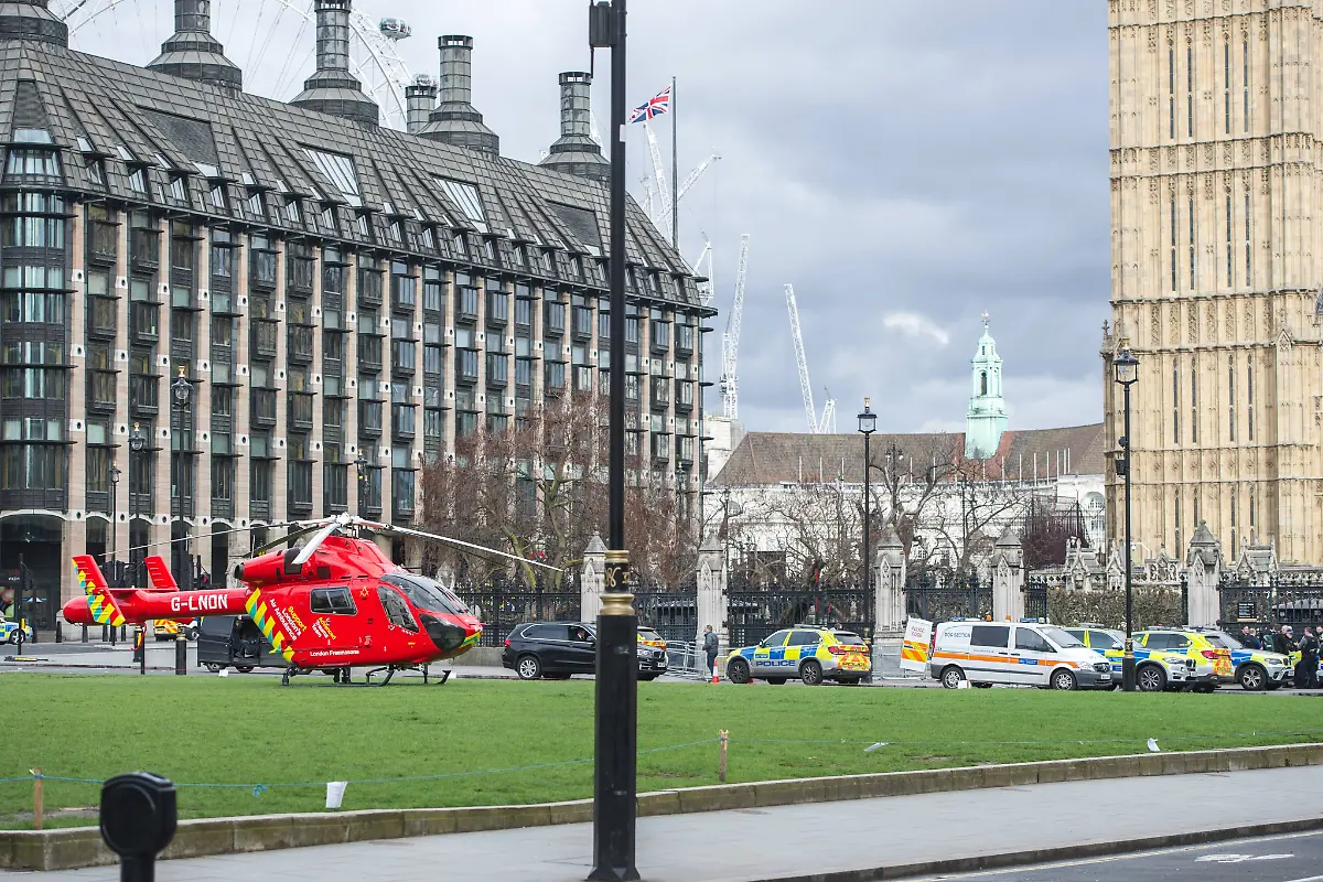 1a1a4c60ca20e60b699520dcea4b5603