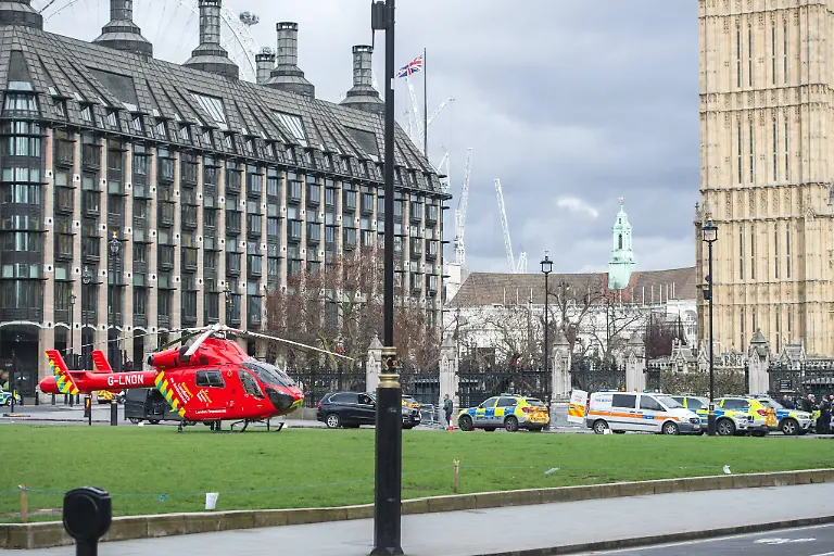 1a1a4c60ca20e60b699520dcea4b5603