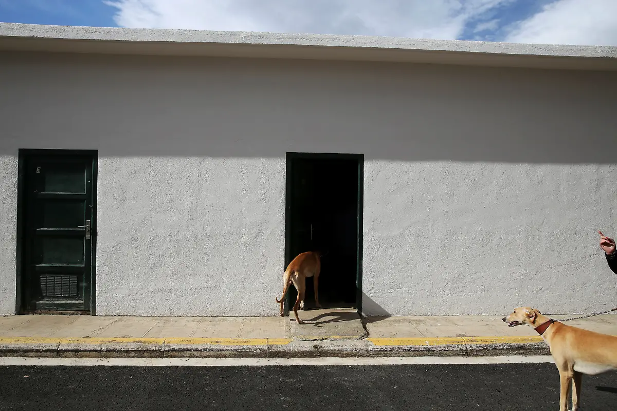 73832571a2ecf11c2ef594b33dc38c8d