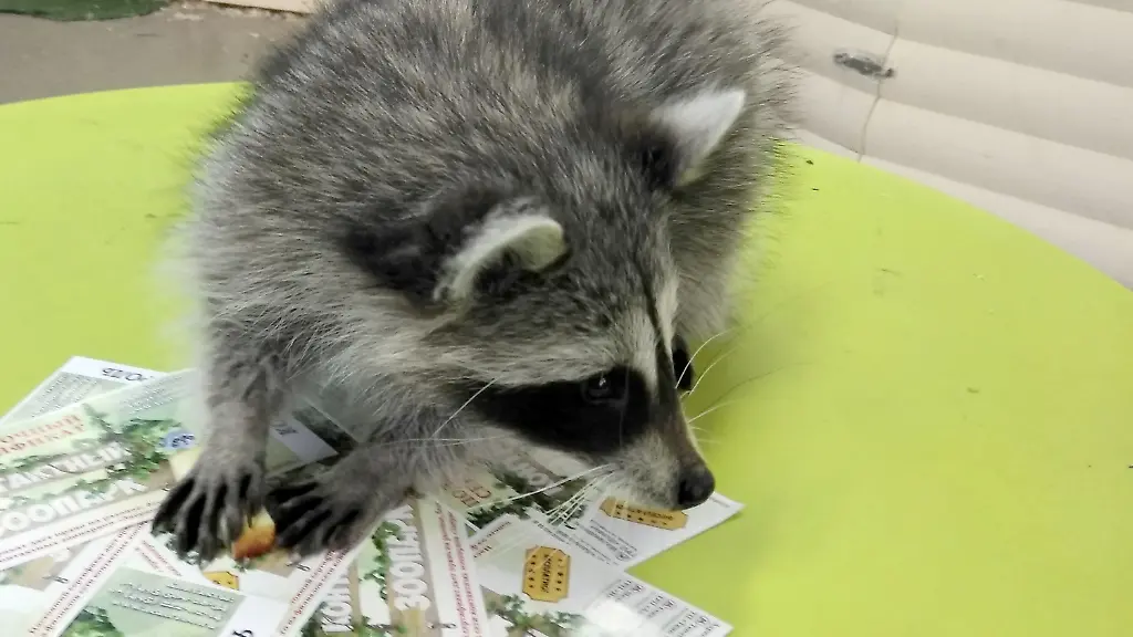 893ec4ae0b7240be63d5ac65dbdfc40c