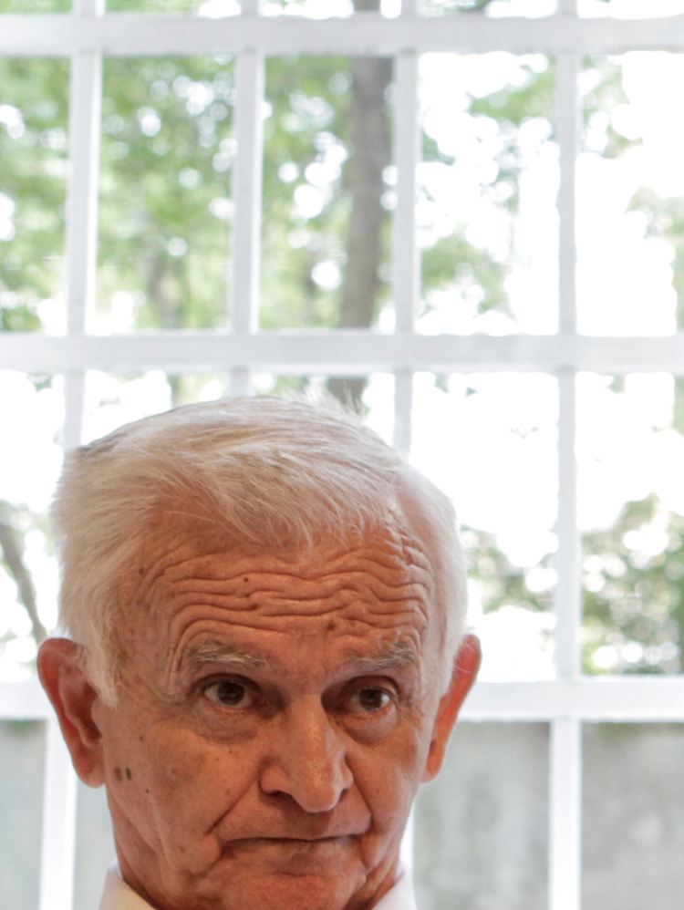 Mladics Anwalt Milos Saljic.