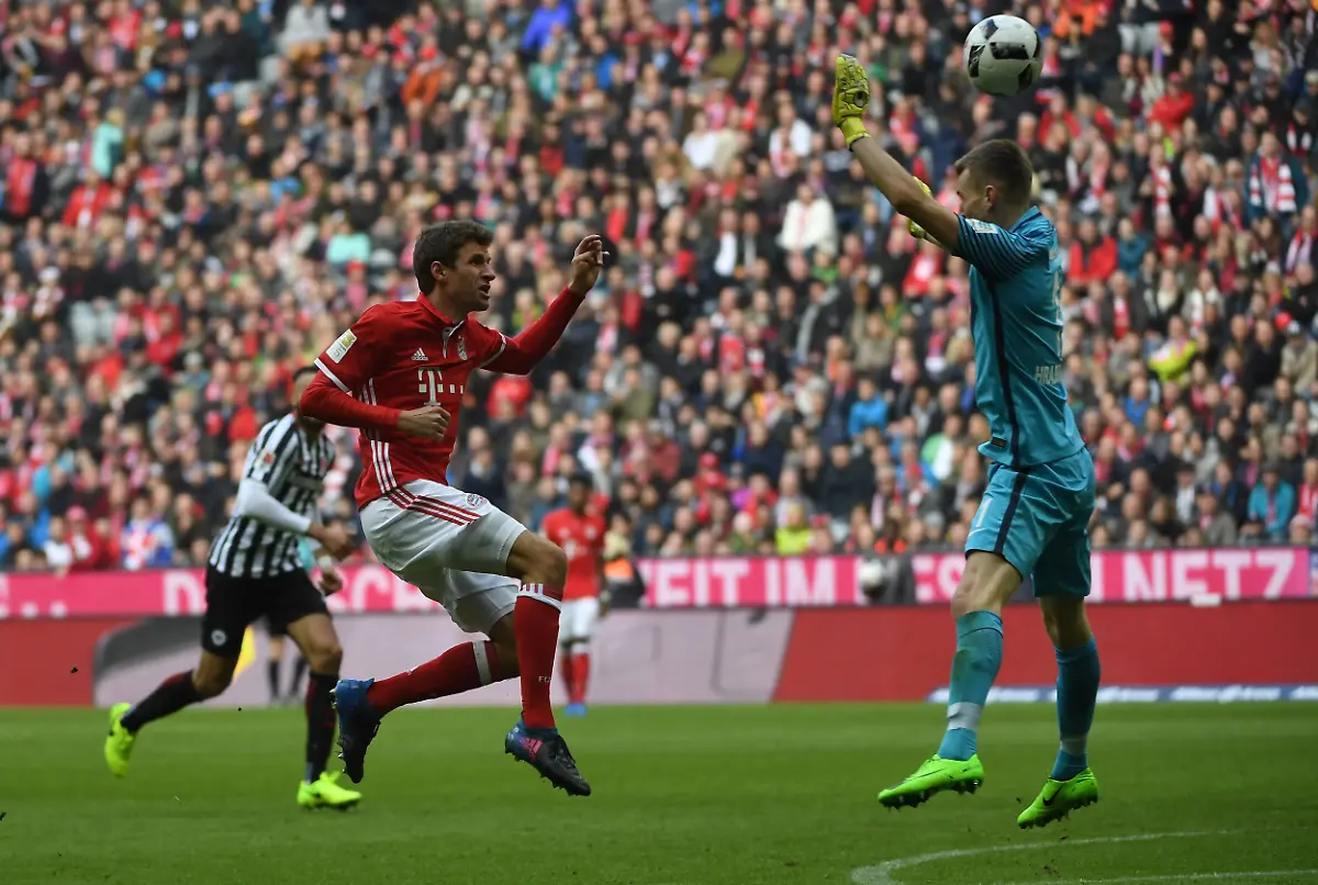 ee839acd64fad8b4e132684498c73ad5