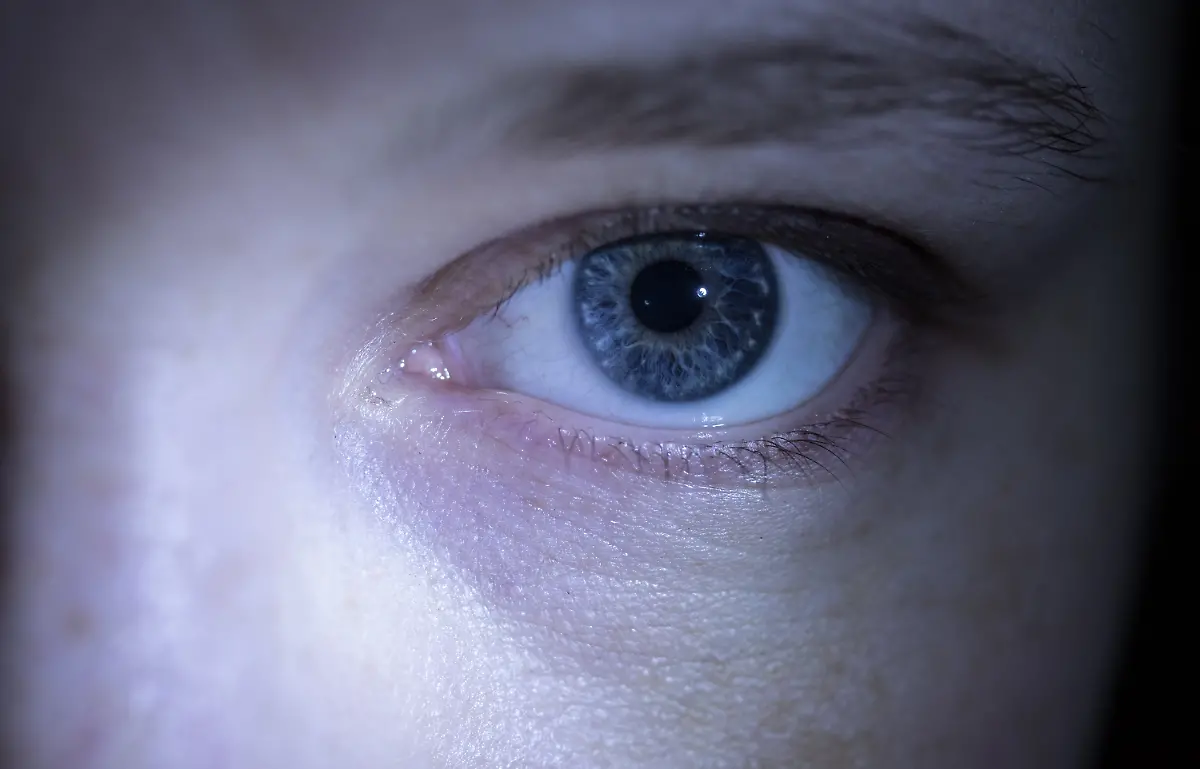 93387cf4523c496e57e9aa2444d8eed6